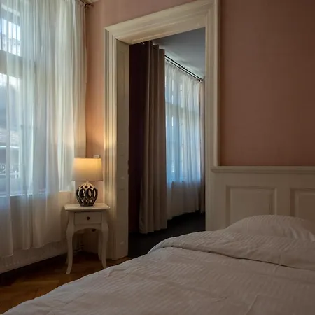 Apartment Central Park Sighisoara